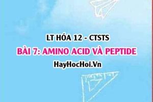 Peptide, Amino acid là gì? tính chất hóa học, vật lí của Amino acid, Peptide, cấu tạo Amino acid? Hóa 12 bài 7 CTST